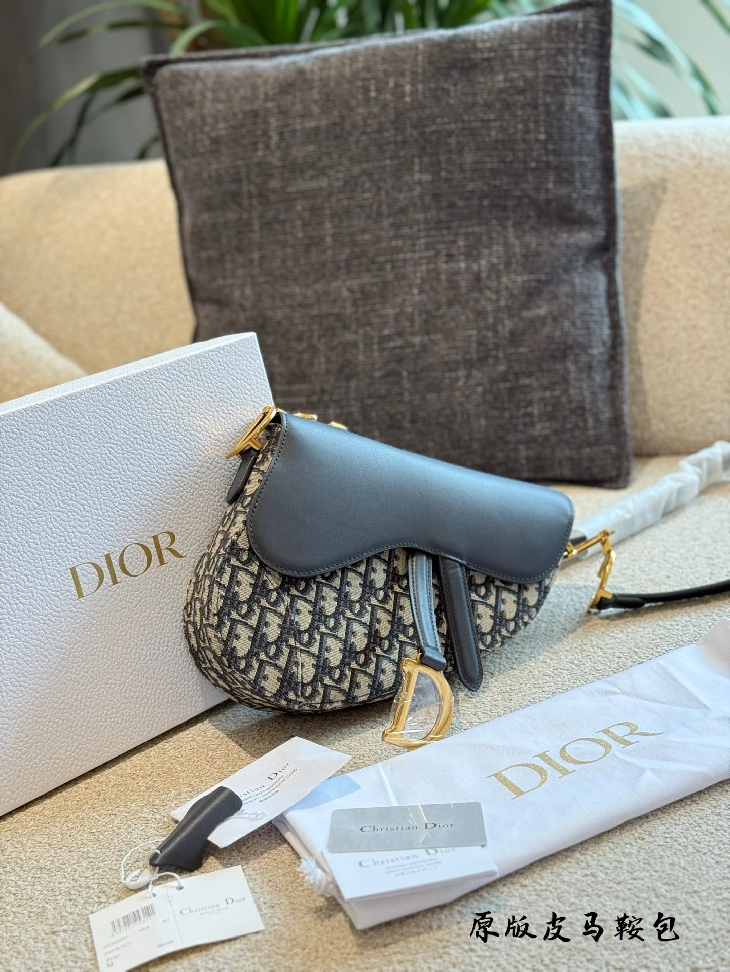 Dior Handbags Saddle Bag